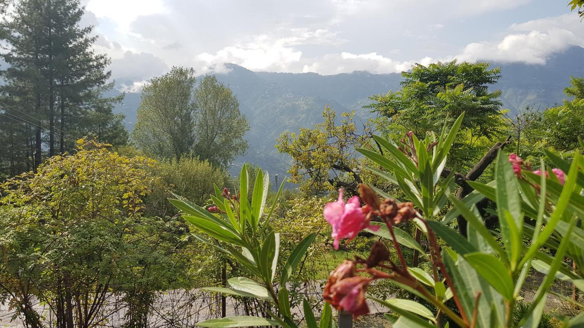Bhurban Valley Cottages 3 Εξωτερικό φωτογραφία